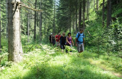 Bilder vom Pitztal » Wandern